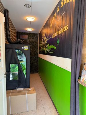 La fresque Body & Soul dans la boutique